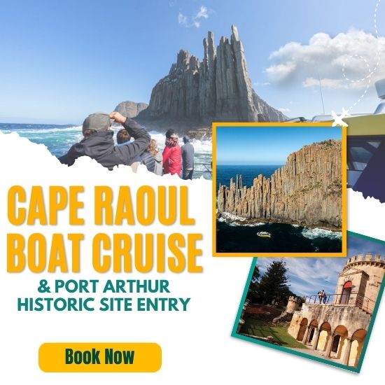 Cape Raoul Boat cruise banner