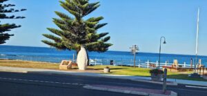 Penguin Retreat Tasmania Australia