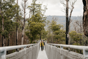 Tahune Airwalk Site Entry Tasmania Australia