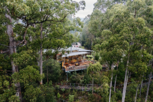 Tahune Airwalk Site Entry Tasmania Australia