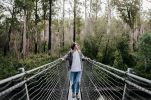 Tahune Airwalk Site Entry Tasmania Australia