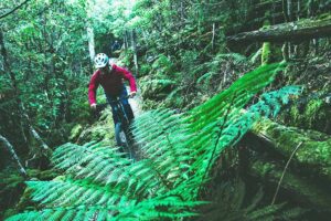 Mt Wellington: ‘Big Day Out’ Adventure Trail | 33+ km | Self-Guided Tasmania Australia
