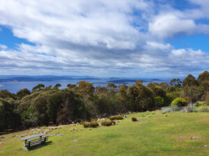 Hobart, Bush and Beach Escape (2 hour Small Group Tour) Tasmania Australia