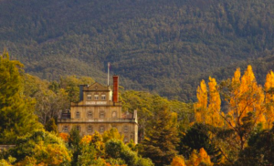 2 Day Tasmanian Highlights Bundle 2 – Hobart Highlights & Bruny Island Tasmania Australia