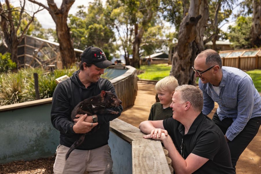 A keeper holds a Tasmanian devil during a session at Bonorong Wildlife Sanctuary near Hobart